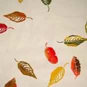 beech window shade